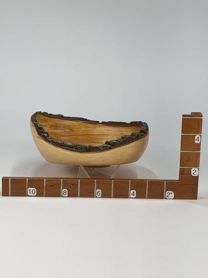 Bradford Pear Natural Edge Bowl with Bark — shown with scale reference