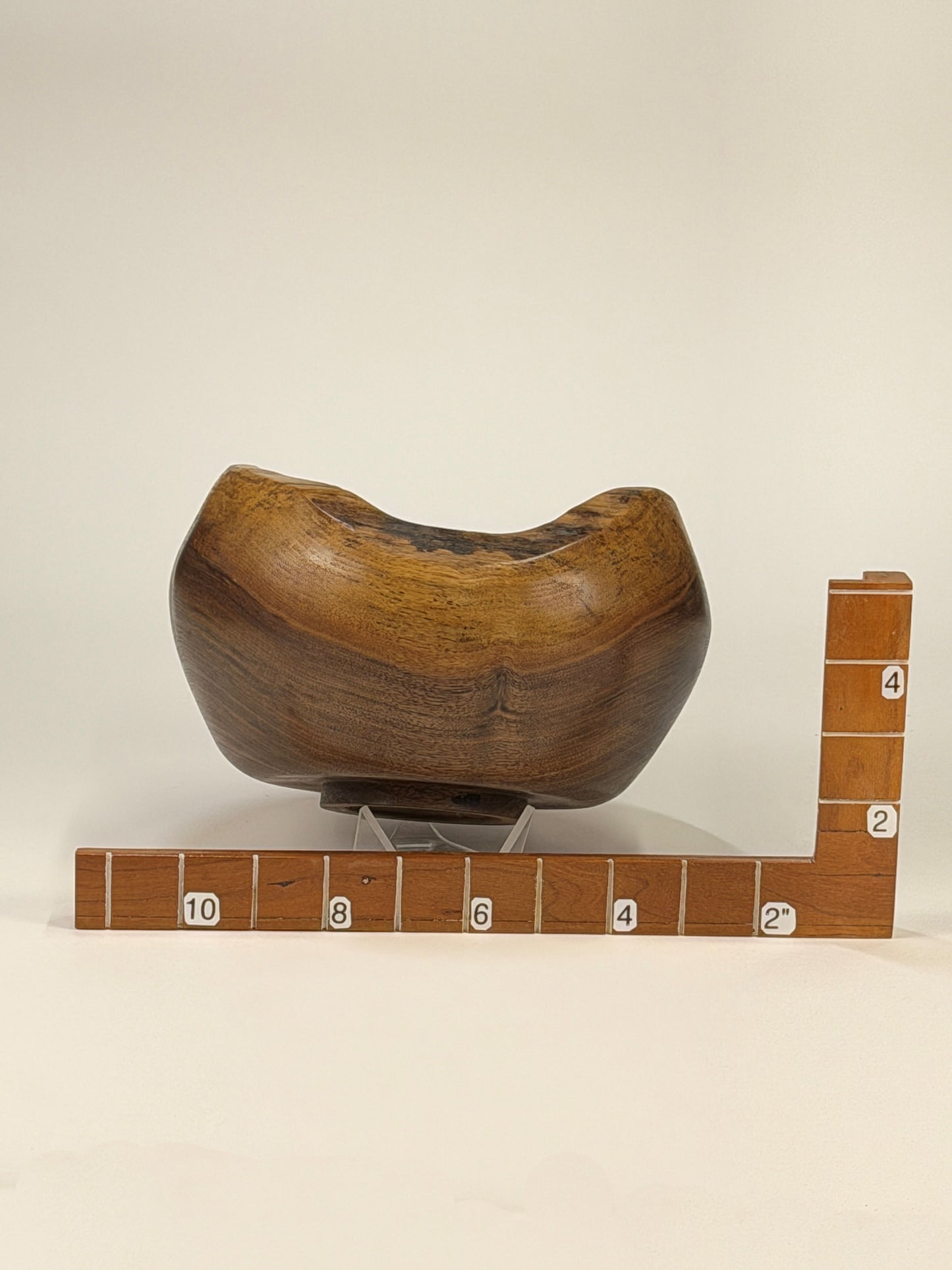 Walnut Natural Edge Bowl no Bark — shown with scale reference