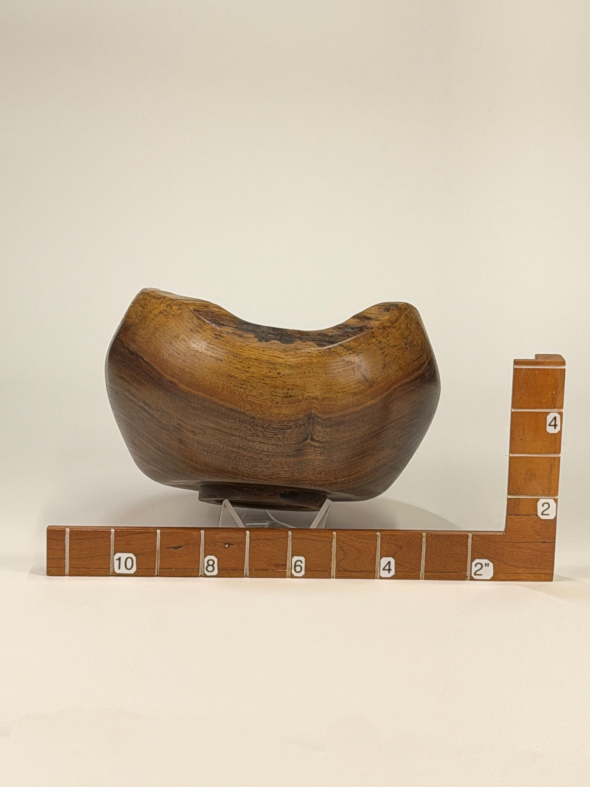 Walnut Natural Edge Bowl no Bark — shown with scale reference