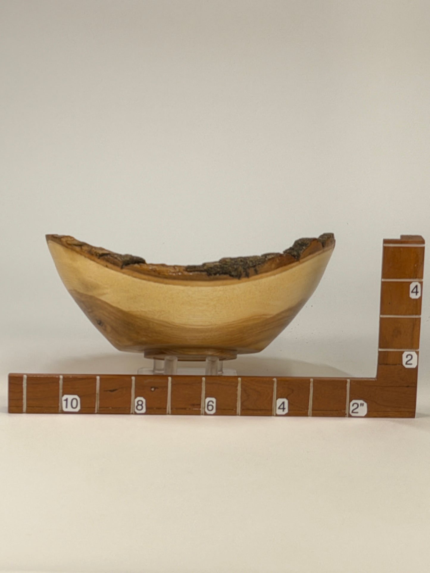 Ash Natural Edge Bowl with Bark — shown with scale reference
