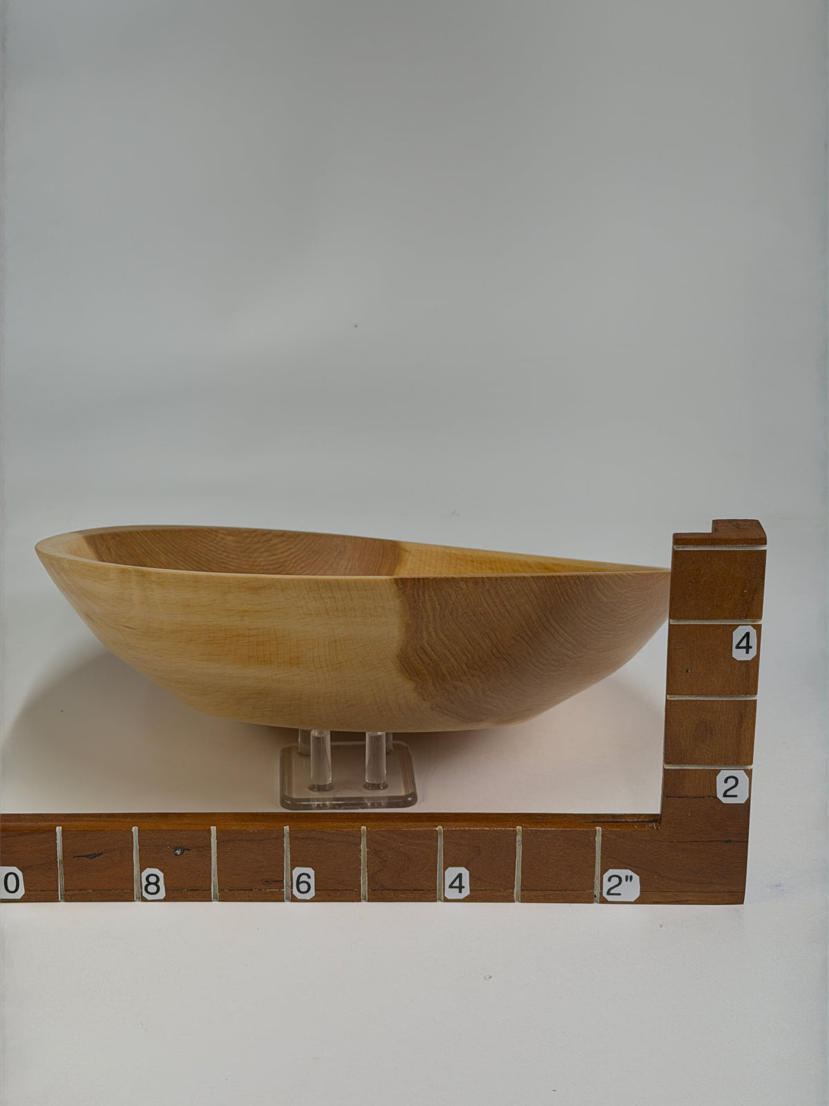 American Beech Once-Turned Bowl – 10 x 2.5" — shown with scale reference