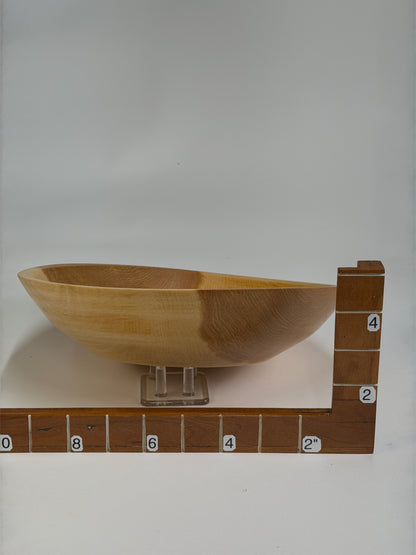 American Beech Once-Turned Bowl – 10 x 2.5" — shown with scale reference