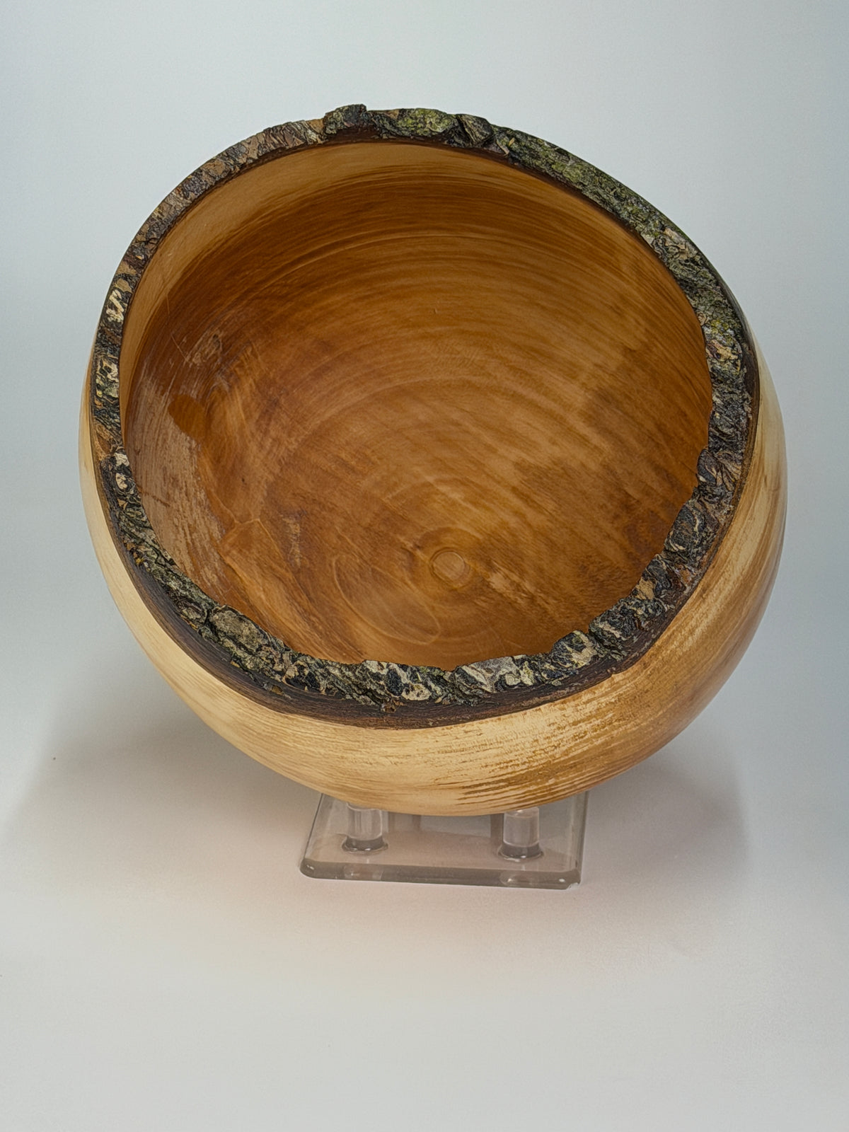 Bradford Pear Natural Edge Bowl with Bark – 7 x 4.5" — top view
