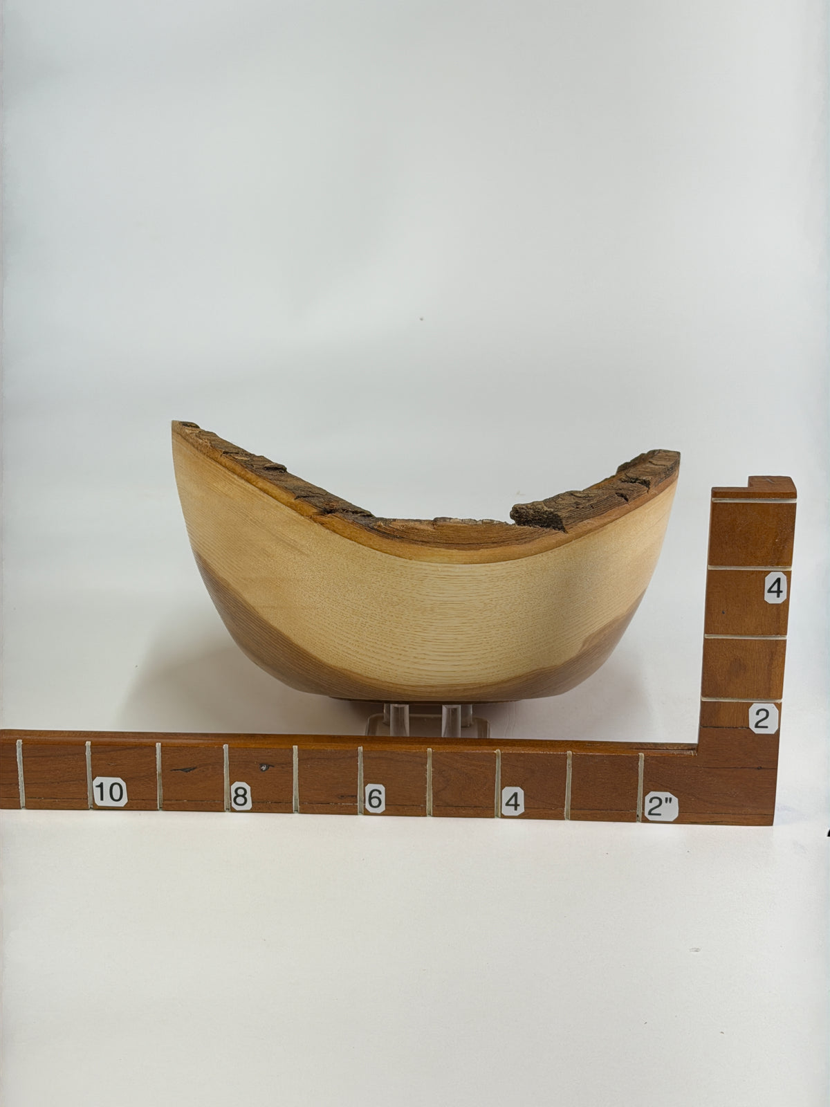 Ash Natural Edge Bowl with Bark – 8 x 4" — shown with scale reference